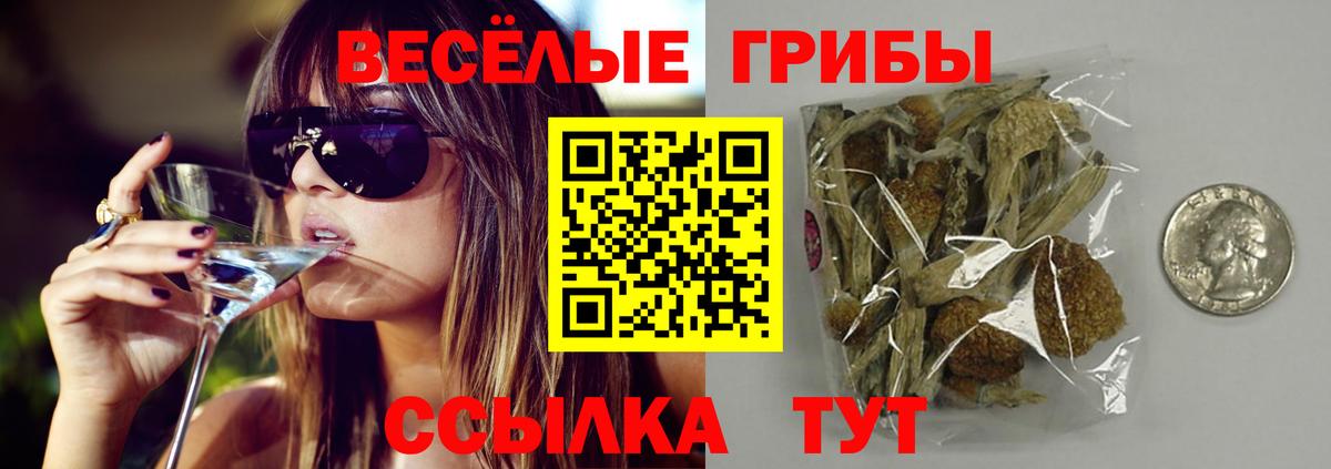 Галлюциногенные грибы мицелий Добрянка