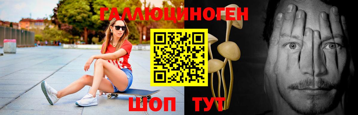 Галлюциногенные грибы Magic Shrooms  Псилоцибиновые грибы Magic Shrooms  цены   Вход с VPN  Добрянка 